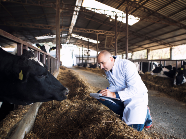 saint-hyacinthe-marketing-b2b